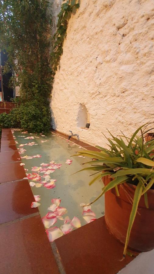 Casa Bambu Leilighet Granada Eksteriør bilde