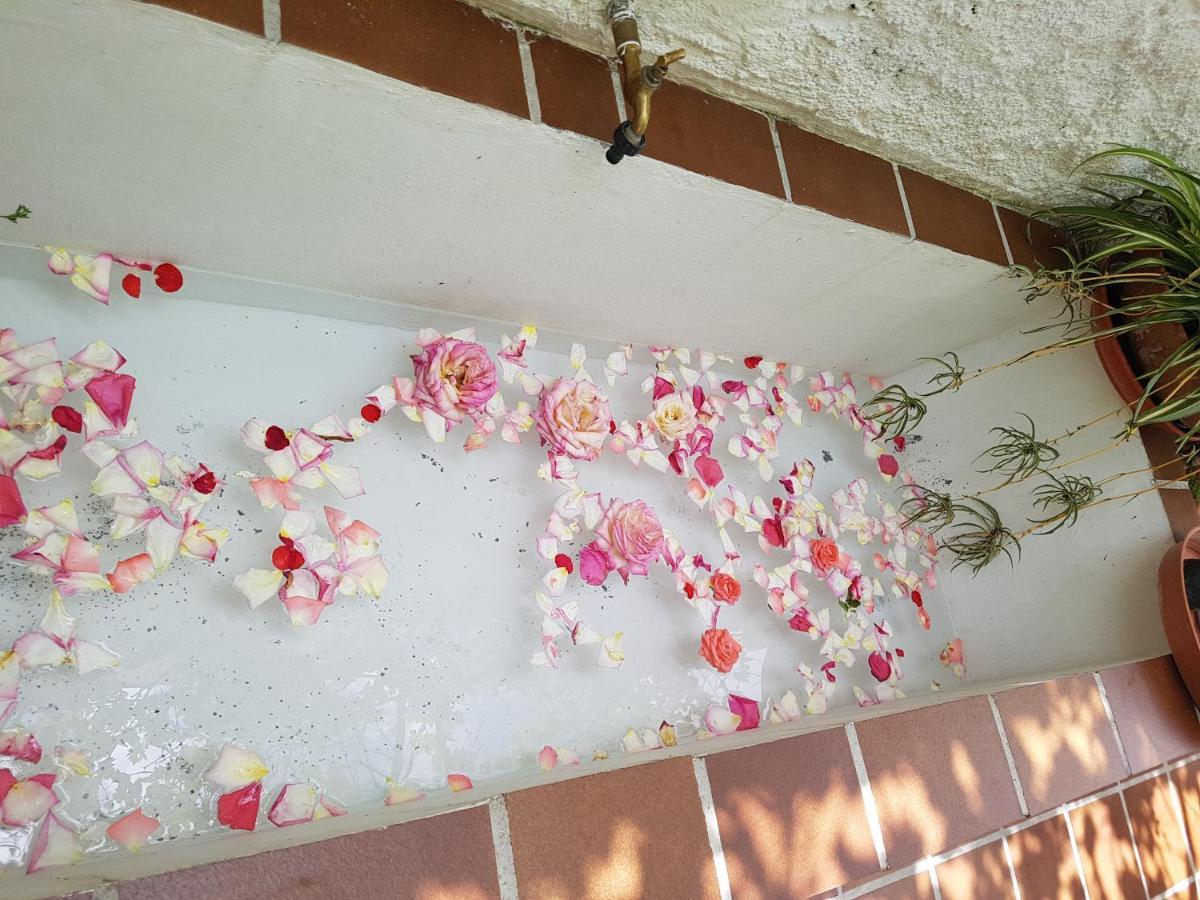 Casa Bambu Leilighet Granada Eksteriør bilde